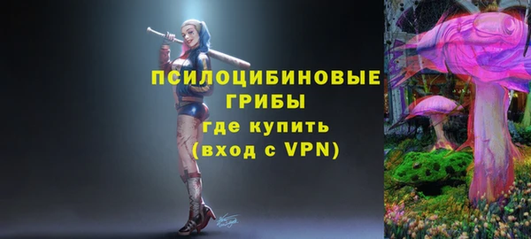 МДПВ Абаза