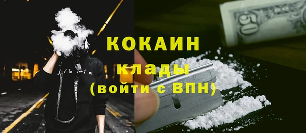 шишки Абинск