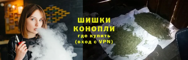 шишки Абинск