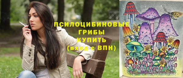 шишки Абинск