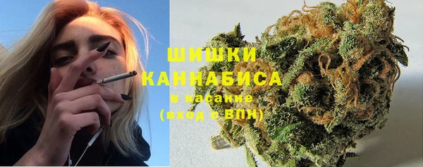шишки Абинск