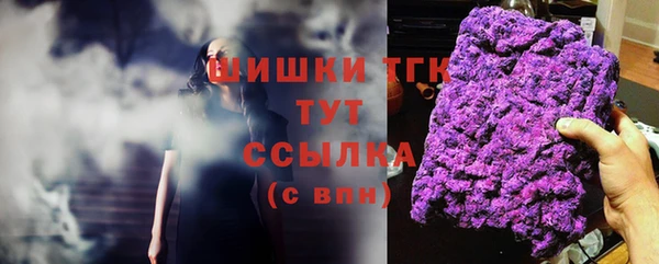 spice Алзамай
